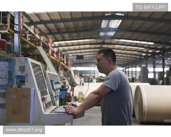 玩博纸业公司简介：行业领先的纸制品制造商与发展历程